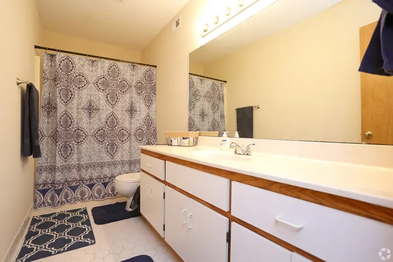 Bathroom with a patterned shower curtain and vanity